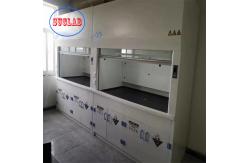 China Integrated Structure Laboratory Fume Cupboard With Wet Scrubber 60dB Customized supplier