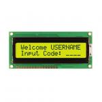 NHD-0216PZ-FL-YBW-PC for sale
