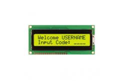 China NHD-0216PZ-FL-YBW supplier