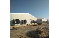 China Customized Gable Roof Prefab Poultry House With Insulation Panels supplier