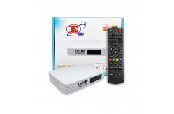 China MP3 HE-AAC DVB T2 H265 Receiver Parental Controls Full Channel Search Decoder supplier