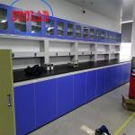 Modular Lab Furniture Suppliers Hong Kong Fast Installation and Stainless Steel for State-of-the-Art Labs for sale