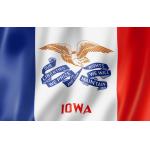 100% Polyester Iowa Flag Freedom Democracy Double Stitch Clean Cut for sale