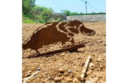 China Custom Yard Oem Garden Metal Ornaments Embellishments Crocodile Shape Cutting supplier