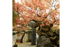 China Lush Cherry Artificial Landscape Trees Exhibition Decorative supplier