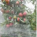 Anti Hail Nets for Apple Tree Agriculture Anti Hail Net Anti-hail Net With Pillars for sale