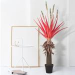 SGS Plastic Artificial Foliage Tree Architectural Landscaping For Dining Room