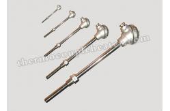 China Mineral Insulated Thermocouple RTD Pt100 Pt1000 Sensors With Thermowell supplier