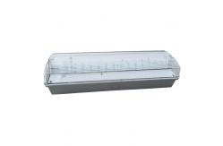 China Professional Custom Surface Wall Mounted Waterproof Emergency Light supplier