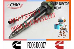 China Fuel Injector Assembly F00BJ00006 FOOBJ00007 0986435903 0986435614 For Qsk19 Engine supplier