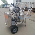2 Buckets 220L/Min Cow Farm Milk Machine 24 Cows Per Hour for sale