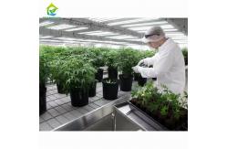 China Agricultural Hydroponic Movable Grow Table Greenhouse Rolling Benches For Flower supplier