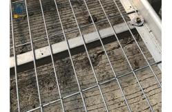China Agricultural Wire Mesh Rolling Grow Tables Greenhouse Hydroponic Rolling Benches supplier