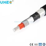XLPE Insulation Single Phase Aluminum Core Concentric Cable for Electrical Applications for sale