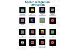 China LED Voice Recognition Animation Programmable LED Face Mask Light Up supplier