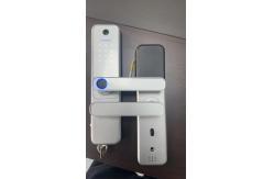 China Sliver Electronic Door Lock Fingerprint Door Lock CE RoHS Approval supplier