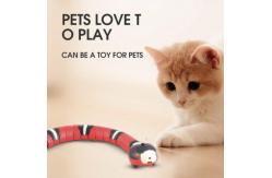 China Rubber Interactive Red Cat Pet Teething Chew Funny Toys For Puppies supplier