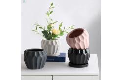 China Customizable Ceramic Pots To Meet Your Specific Planting Requirements supplier