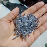 High Strength Electro Galvanized Nails Steel Small Nails For Concrete for sale