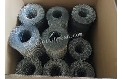 China 480g/M2 Galvanized 0.35mm Thickness Brick Wall Mesh 15m Length supplier