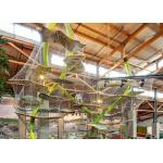 Customized Playground 304 Stainless Steel Rope Mesh Netting Anti Rust for sale
