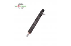 China New Fuel Common Rail Injector EJBR02101Z 166003978R for Delphi Engine supplier