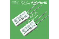 China Plastic Case Thermal Protector Fuse BH-B2D Fluorescent Lamp Ballasts Usage supplier