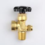                  Gas Oxygen Cylinder Valve Qf-2g1 for Southeast Asia Market              for sale
