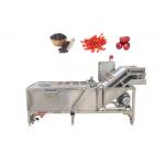 Ozone Bubble Chili Raisin 500kg/h Mango Washing Machine for sale