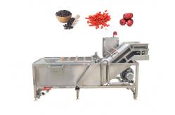 China Ozone Bubble Chili Raisin 500kg/h Mango Washing Machine supplier