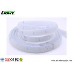 IP68 DC24V LED Flexible Strip Lights 2000lum 120LEDs/M Explosion Proof for sale