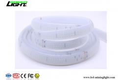 China IP68 DC24V LED Flexible Strip Lights 2000lum 120LEDs/M Explosion Proof supplier
