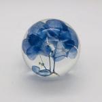 Real Flower Paperweight Dia80mm With Hydrangea Inside for sale