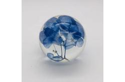 China Real Flower Paperweight Dia80mm With Hydrangea Inside supplier
