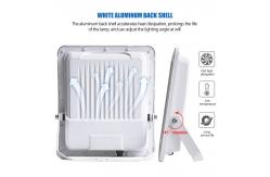 China 300w Solar Flood Light Adjustable Brightness Solar Security Flood Lights With Remote Control supplier