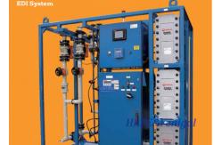 China Hot Water Sanitizable Stacks Reverse Osmosis EDI Membrane Stack Electro-Deionization supplier