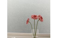 China 4mm Frosted Heat Strengthened Tempered Glass Panels For Window Frame supplier