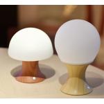 Home Decor Room Decoration Night Light Smart Silicona LED Table Lamp for sale