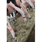 High Quality Cow Leg Velcro Band Hook Loop Strap 15*180mm Customizable