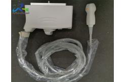 China Toshiba PST-50BT Sector Array Ultrasound Transducer Probe Medical Equipment supplier