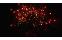 China Chinese Consumer Cake Fireworks Customized 25 Shots 500G Pyrotechnics supplier