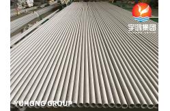 China ASTM A312 / SA312 TP321 Stainless Seamless Pipe Plain End  Pickled And Annealed supplier