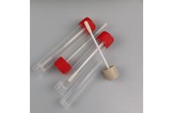 China Disposable EO Sterile 8cm Foam Head Oral Specimen Collection Swabs supplier