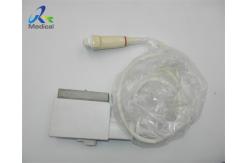 China GE 739L/10L Linear Array Ultrasound Probe 10MHz For superficial vascular supplier