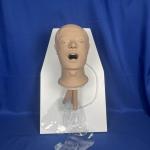 Kingpo Brand Plastic Material Simulated Patient Head with ISO 9360-2-figure 1 Standard and 1 Year Warranty for sale