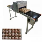 Safety Egg Jet Coding Machine / Inkjet Marking Equipment For Time Date Characters for sale