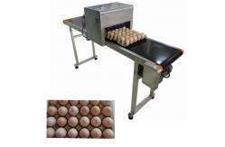 China Safety Egg Jet Coding Machine / Inkjet Marking Equipment For Time Date Characters supplier