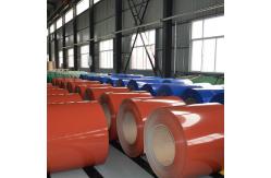 China Width 600mm-1250mm Prepainted Galvanized Steel Coil PPGI PPGL Coil supplier