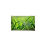 Original in Stock 32.0 inch LC320WXN-SBG1 LCD Display Screen for sale