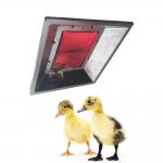 THD2606 Poultry Brooder Heater Chicken House Infrared Catalytic Gas Brooder for sale